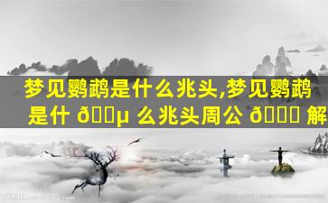 梦见鹦鹉是什么兆头,梦见鹦鹉是什 🌵 么兆头周公 🕊 解梦
